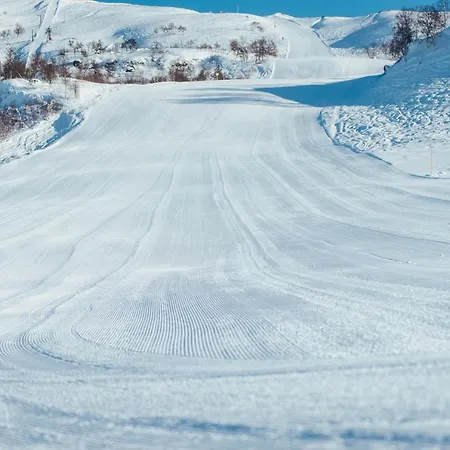 Haukelifjell Skisenter Vågsli Extérieur photo