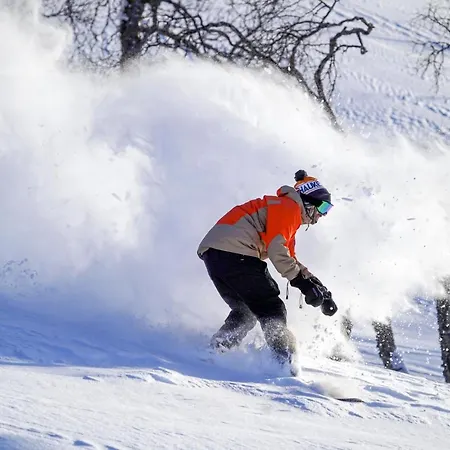 Haukelifjell Skisenter Vågsli Extérieur photo