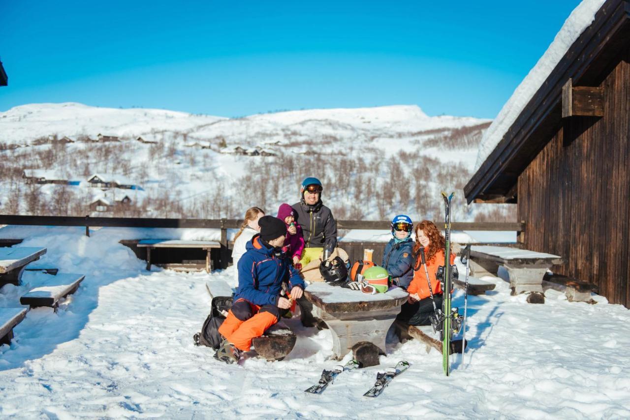 Appartement Haukelifjell Skisenter