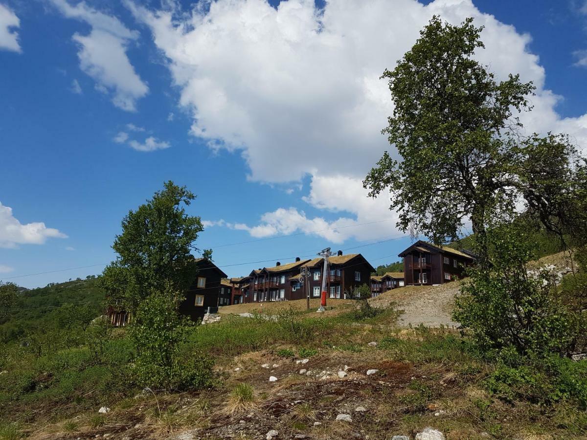 Appartement Haukelifjell Skisenter Vågsli